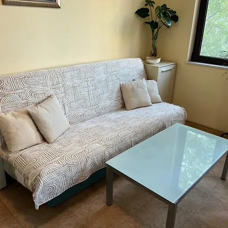 Dreams Созополь